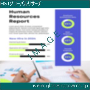グローバルリサーチ調査レポートのイメージ